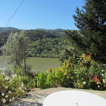 Quinta Pereira De Carvalho * 雷森迪