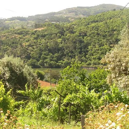 Quinta Pereira De Carvalho *