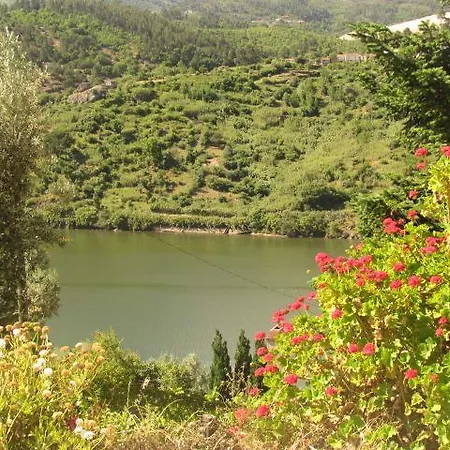 Quinta Pereira De Carvalho