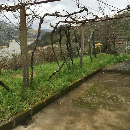 Quinta Pereira De Carvalho 农家乐 *